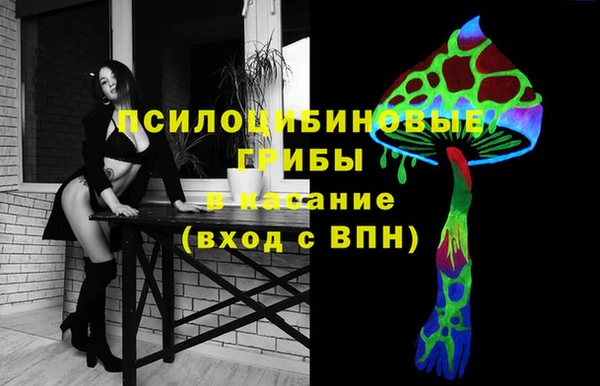 spice Володарск