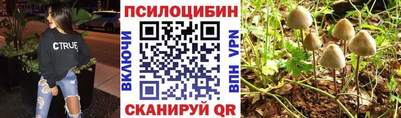 hydra маркетплейс Химки Галлюциногенные грибы Psilocybine cubensis
